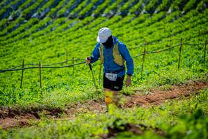 BIB: 
                            <button type="button" onclick="openModal(19162481)" class="btn btn-primary btn-sm float-right btn-popup" data-toggle="modal" data-target=".modal-high-quality">
                        <i class="fas fa-shopping-cart"></i> Add to Cart
                    </button>
                                            <button type="button" onclick="isThisMe(19162481, true)" class="btn btn-success btn-sm float-right btn-popup btn-isme hidden" data-toggle="tooltip" data-placement="bottom" title="นี่คือรูปของคุณใช่ไหม คลิกที่นี่เพื่อเอาเข้าอัลบั้ม">
                        <i class="fas fa-plus"></i> Add to album
                    </button>
                    <button type="button" onclick="isThisMe(19162481, false)" class="btn btn-warning btn-sm float-right btn-popup btn-isnotme hidden">
                        <i class="fas fa-ban"></i> Remove from album
                    </button>